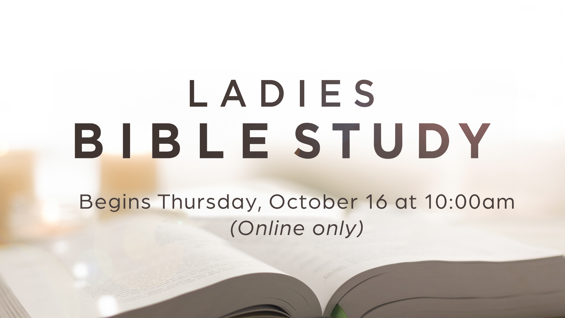<b>Ladies Bible Study</b>